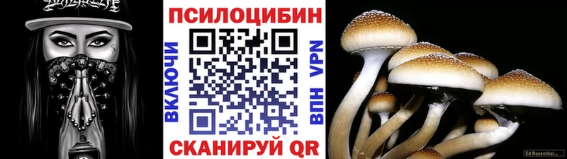 Галлюциногенные грибы Psilocybe  Горняк 