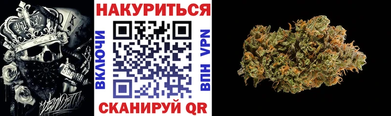 Каннабис ГИДРОПОН где найти Горняк